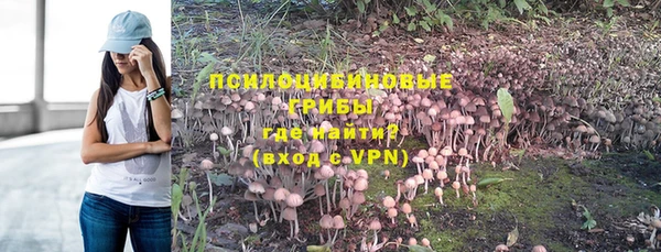 метамфетамин Алексин